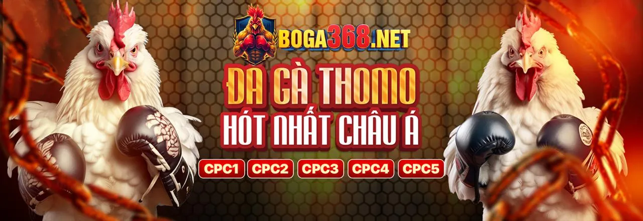Hình ảnh Chính Sách Cookie của Loto288 Trang Chủ Chính Thức